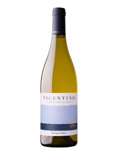 Sauvignon Blanc 2023