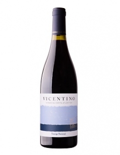 Touriga Nacional 2020